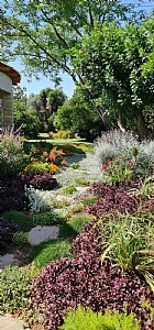 ����� ���� ��� ������� 