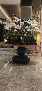 ���� ������ ������� ���� ������� ������ ����� ������ ������ ����� ����� ������ ��� ������ ����.